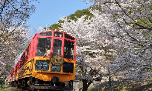 トロッコ列車