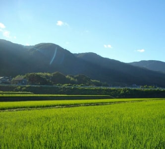 田園風景